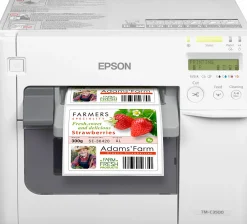 ColorWorks C3500 (incl. NiceLabel Download)