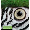 Fine Art Cotton Smooth Bright A4 25 Sheets