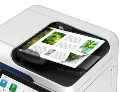 WorkForce Enterprise​ AM-C550